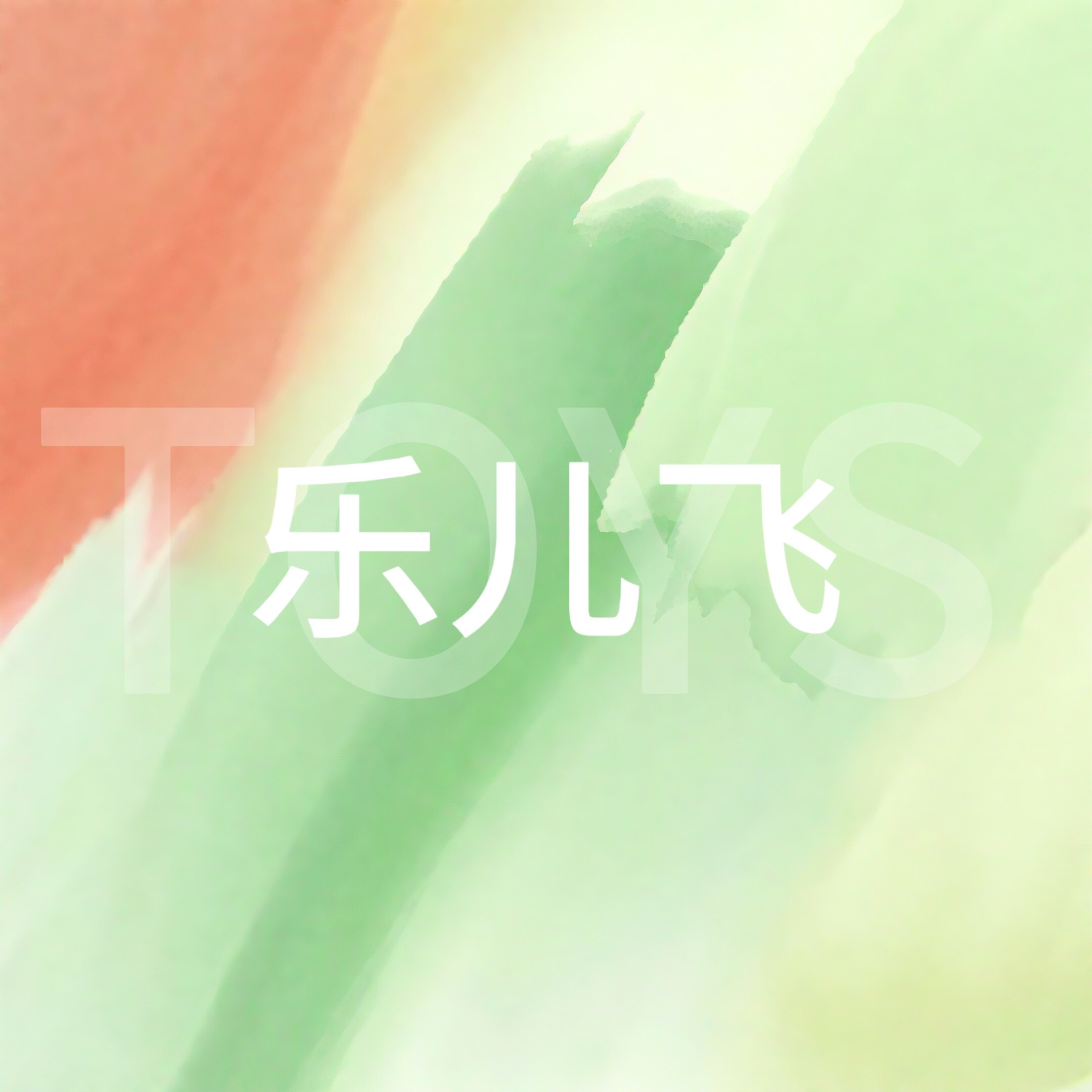 乐儿飞玩具