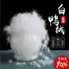 GB 90% white duck down big bulk down washed down down down jacket products filler (50g)