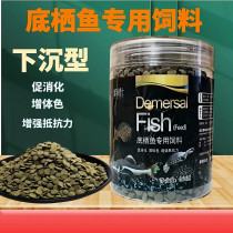 Heterotypic fish natural tortoise grain feed clear dorsal rat fish beard large sails bottom shelter Sink Bottom-shaped high protein