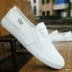 Không có giày ren Giày nam bình thường cho giới trẻ giày sneaker nam trắng Plimsolls