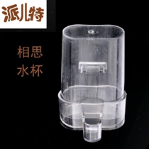 Small Magnet Cup Acacia Embroidered Eye Canary Golden Green Drinking Water Feeder Automatic Water Feeder Practical Thick