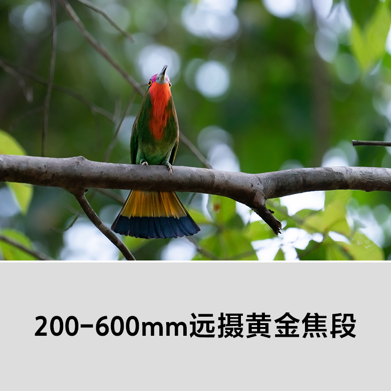 sony/sony sel200600g full-frame super telephoto zoom g lens