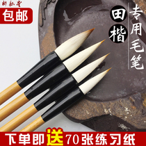  Tian Yingzhang special brush for regular books Ou Kai wolf sheep and hair brush Large and medium Kai Wen Fang Sibao Beginner suitable for books and paintings