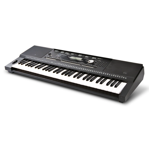 Roland Roland Electronic Piano E-X50 дети взрослые начальные школы. Равное учитель 61 Ключевой Профессионал Аранжировка фортепиано