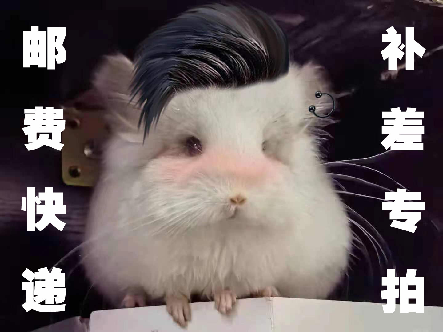 {hey, you are so cute} The Baby's All-purpose Super link to make up the difference in freight rates