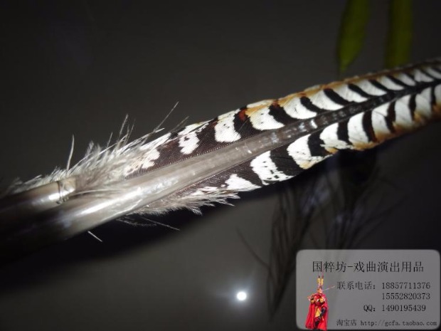 Bọ cạp lông Bọ cạp len nguyên chất 1 m 4 lông chim trĩ không khâu kịch cung cấp Yu Shang đạo cụ sản phẩm mới - Sản phẩm Đảng / Magic / Hiệu suất bộ đồ halloween