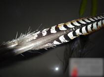 Lingzi Mao Lingzu pure wool 1 meter 4 wild chicken feathers without splicing opera supplies in Shang props new products