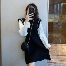 Autumn change season Lions dress small sub-foreign air long sleeves Knitted Fake two loose Thin Agaric Edges to Bottom Skirt Winter