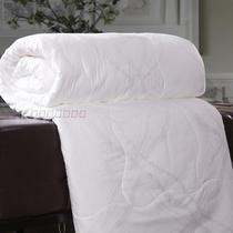 Jin No Yishijia 100% silk warm winter quilt Spring and autumn quilt filament silk quilt soft warm early winter promotion