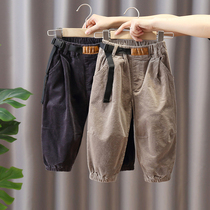 Broken Warehouse 29 Boys Corduroy Pants Autumn and Winter Children's Baby Stripted Pants