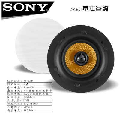 Лучший динамик Sony Sony 5 -дюймовый топ -динамик коаксиальный расщепленный расщепление частота высокого уровня высокого звучания 8 евро