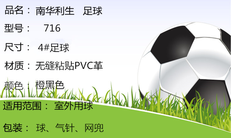 Ballon de football - Ref 5474 Image 6