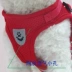 Dog dây kéo dây vest kiểu chó chuỗi chó nhỏ hơn gấu đi bộ dây chó Teddy vật nuôi mèo dây - Cat / Dog hàng ngày Neccessities