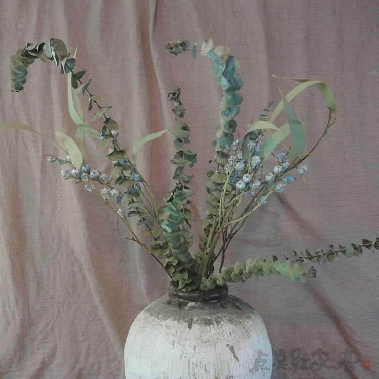 (Eugalie leaf) Buy 5 send 1 copper Money Eucalyptus Natural Dry Branches Flower Arrangement Indoor Soft Furnishing Art Dry Flowers Pat