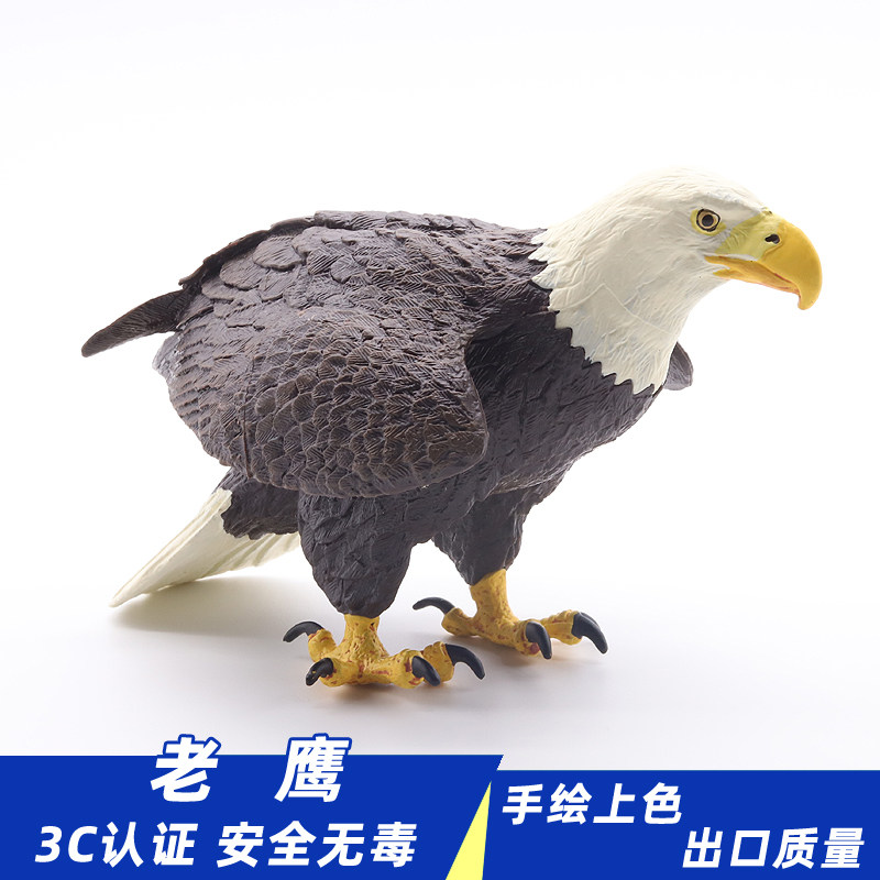 Large simulation of eagle Harrier white eagle poultry toy model wild animal bird furniture