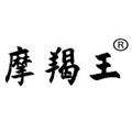 摩羯王激光的LOGO