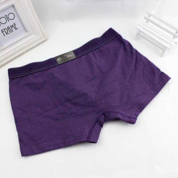 3 gói Quần lót nam cotton dày của Tian Taro quan sip nam