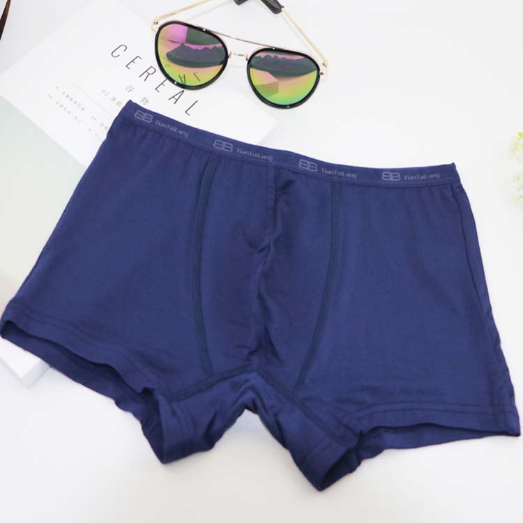4 túi quần ngắn nam Tian Taro modal cotton tóm tắt Quần bằng sợi cotton thấm mồ hôi quần sịp nam trong suốt