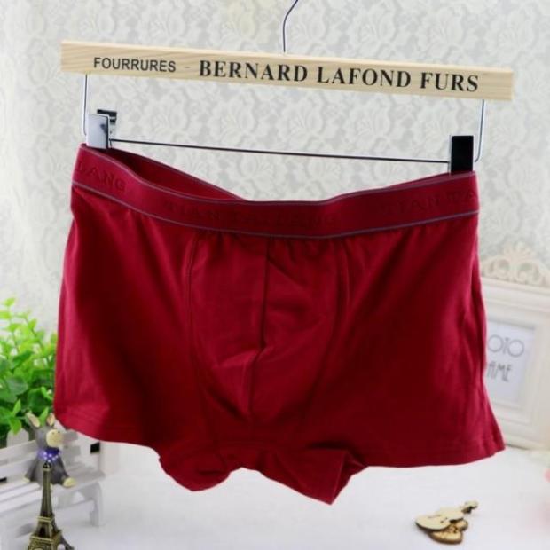 3 gói Quần lót nam cotton dày của Tian Taro quan sip nam
