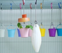 (Oreo)Parrot squirrel Honey bag glider Chinchilla Dutch pig Fruit fork bucket to prevent dragging fruit back to the nest