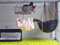 (Oreo)Squirrel supplies Summer summer furniture set Hammock nest cradle