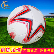No. 4 football special ball for primary and secondary school students training high school entrance examination supplies childrens game ball wear-resistant explosion-proof No. 5 football