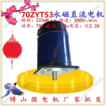 70ZYT53A3 permanent magnet DC motor 70W 48V 3000-rpm DC motor governor