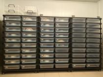 Wopai snake rack snake cabinet climbing frame climbing box 60*45*12 one layer 2 drawers