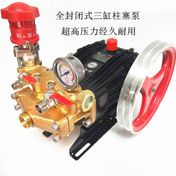 Agricultural Triple Cylinder Plunger Pump Free of butter Full-hermetic high-pressure dosing machine Sprayer Cleaning Pressure Pump-Taobao