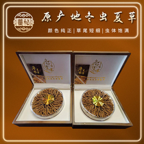 The 2022 Qinghai Yuthu Tibet New Production Wild Winter Xiaxia Featured Dry Gift Box