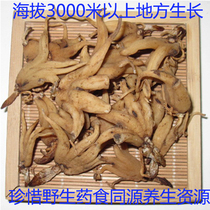 Tibet high altitude wild palm of the Jacuzzi Jin Yang Jin Yangqing without old vessel para - brew soup 200g