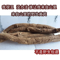 Tibet Astragalus pure wild authentic sulfur - free milling powder new special pure natural Huang - Shi Chinese medicine material 500g