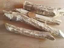 Tibet wild Astragalus produced direct selling farmers non - cultivated high quality selected new Chinese medicine materials authentically promotion 500g
