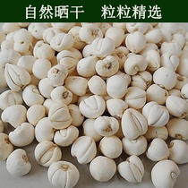 Ganzia Dam Wild Kawa Matsuba nourishes medicine for old and young nutritional food home for 50 grams