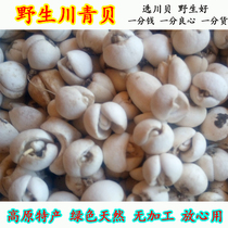 Non - farming farmers dig wild Kawa Kawa Yingcheng Yingbaikawa mother sulfur - free promotion of 50 grams