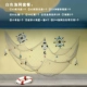 Бежевая рыболовная сеть, сетка для волос