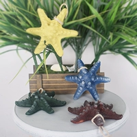 13 см Starfish Four Set Set
