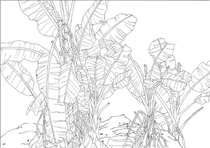 Gongyi Chinese painting flowers and birds White drawing electronic manuscript 18 pieces