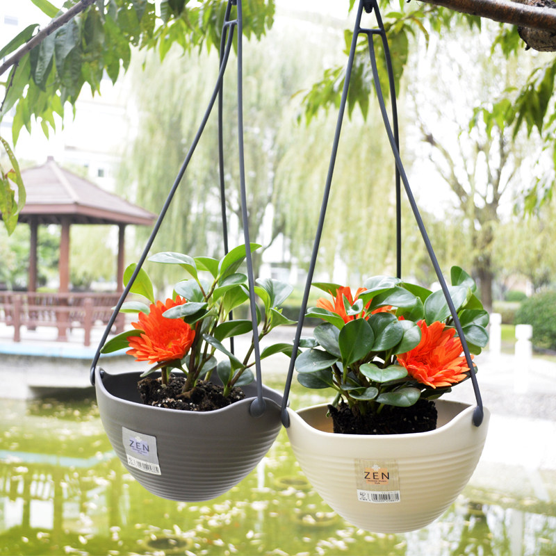 IRIS Hanging Bowl Flower Pot Flower Pot Water Storage Flower Pot Gold Glen Climbing Vines Flower Pot Plastic Flower Pot Water Bacon Flower Pots
