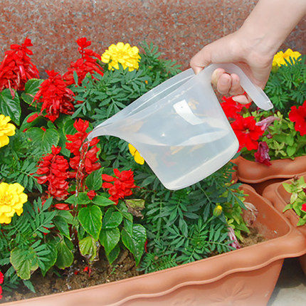 IRISKS10 high quality transparent plastic measuring cup sprinkler water kettle with scale measuring cup medicine to water flowers
