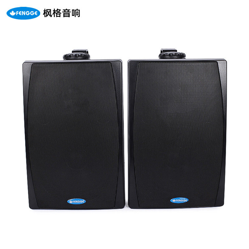 Maple 6 Inch Radio Conference Clear Bar Speaker Home Shop Background Music Wall-mounted Sound Active Pair Box