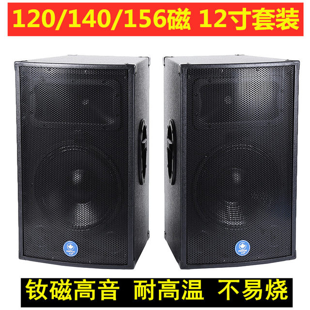 12 inch professional speaker