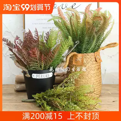 Simulation Fern tropical green feel fake flower plant wall indoor Nordic living room fresh home decoration ornaments