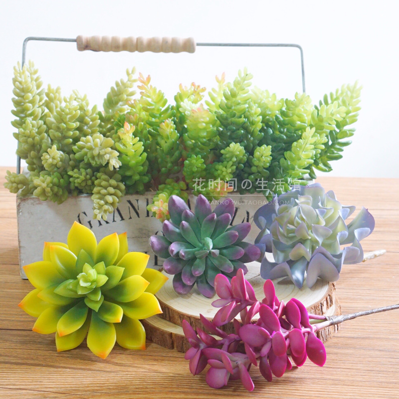 Simulation Multi-Meat Plant Potted Suit Green Wall Fake Flower Props Living-room Home Swing Piece Adornment Wholesale