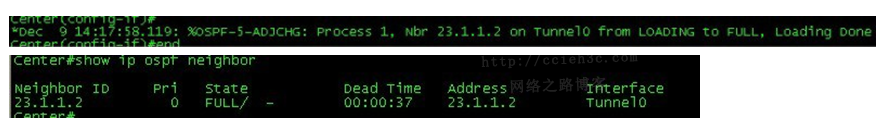 多厂商VPN系列之九：利用OSPF不在同一网段建立邻居特性，实现DVTI容纳N个SVTI