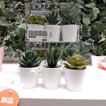 IKEA ຂອງແທ້ Fika ຕົ້ນໄມ້ potted ທຽມກັບດອກ potted ພືດປະດັບສີຂຽວ bonsai ດອກໄມ້ກາງແຈ້ງການຂົນສົ່ງຟຣີ