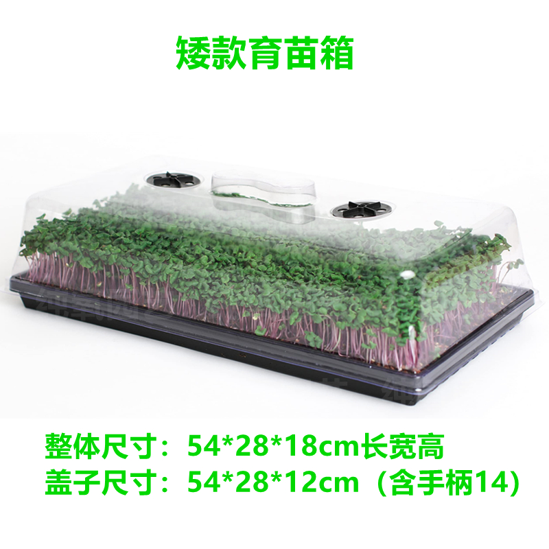 Seedling Box Moisturizing Insulation Nursery tray Multi-meat Stifling Sowing Anti-Insect Seedling Basin Planting Box