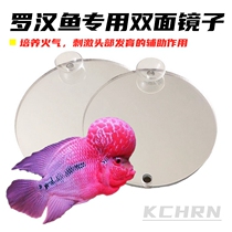 Arhan fighting fish special sandbag double-sided mirror Thunder Dragon lure color high-definition two mirror fish tank aquarium supplies suspension ball