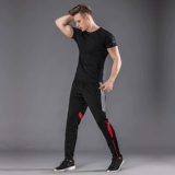 Комплект для спортзала, быстросохнущий дышащий лонгслив, спортивная форма для тренировок, штаны, короткий рукав, в обтяжку, для бега