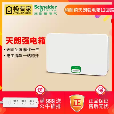 Schneider strong electric box concealed 12-loop air switch leakage protection box Household electric box Tianlang white distribution box